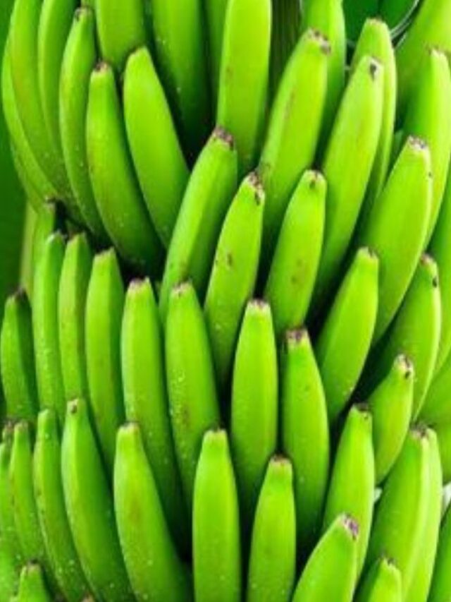 Raw Banana Benefits: कच्चा केला ऐसे बनाता है शरीर को फौलादी, ब्लड प्रेशर को भी रखेगा ठीक