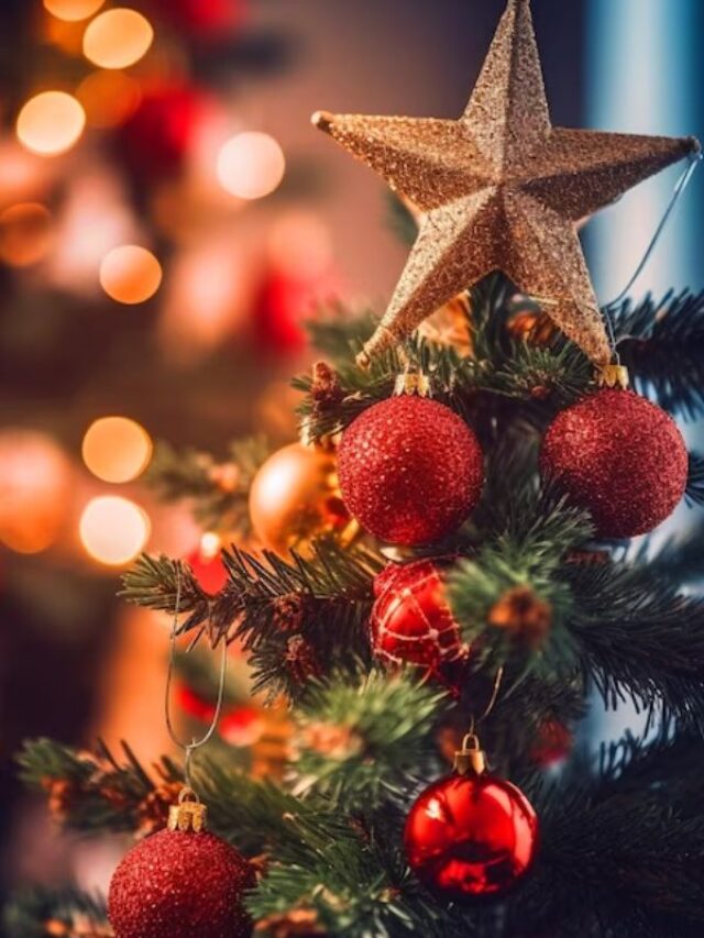 क्रिसमस पर अपनों को दें ये खास गिफ्ट, सस्ते में मिलेंगे शानदार आइटम्स