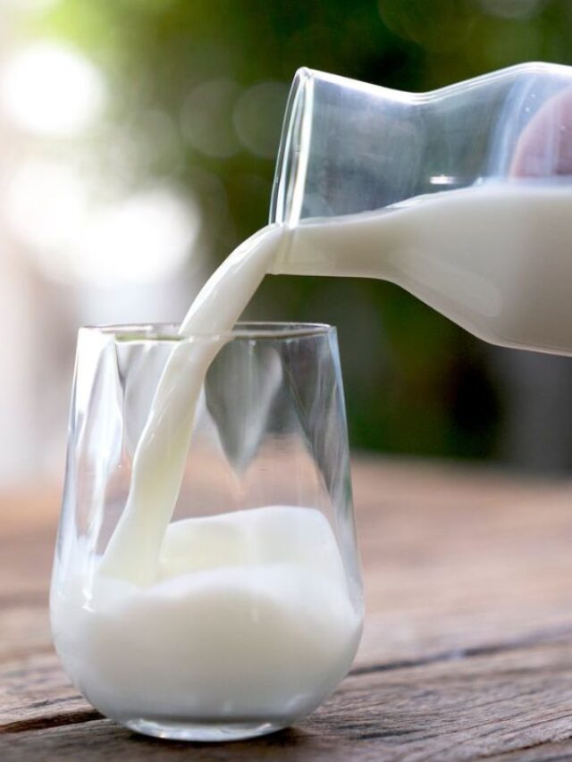 दुनिय़ा में है एक ऐसा जानवर, जिसके दूध में पाया जाता है Alcohal, जानिए