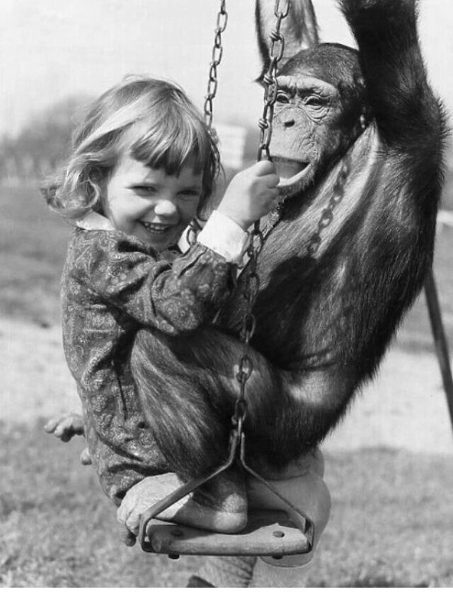 एक ऐसी महिला जिसको बंदरों ने पाला, जानिए लेडी टार्जन की कहानी