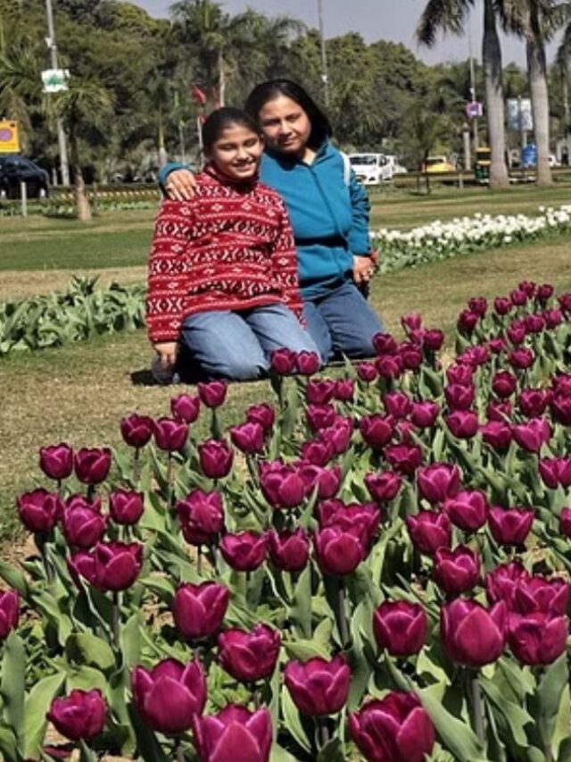 Tulip Festival: अब दिल्ली जन्नत से कम नहीं, कश्मीर ही नहीं राजधानी में यहां लगा है ट्यूलिप फेस्टिवल