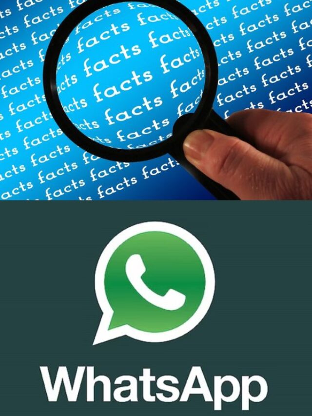 WhatsApp लगाएगा गलत इंफॉर्मेशन फॉरवर्ड करने पर लगाम, कर पाएंगे फैक्ट चेक