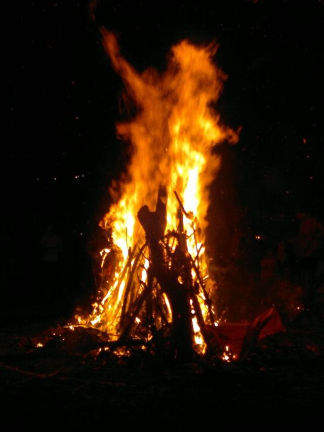 होलिका दहन पर कर लें ये उपाय, सभी समस्याओं से मिलेगा छुटकारा