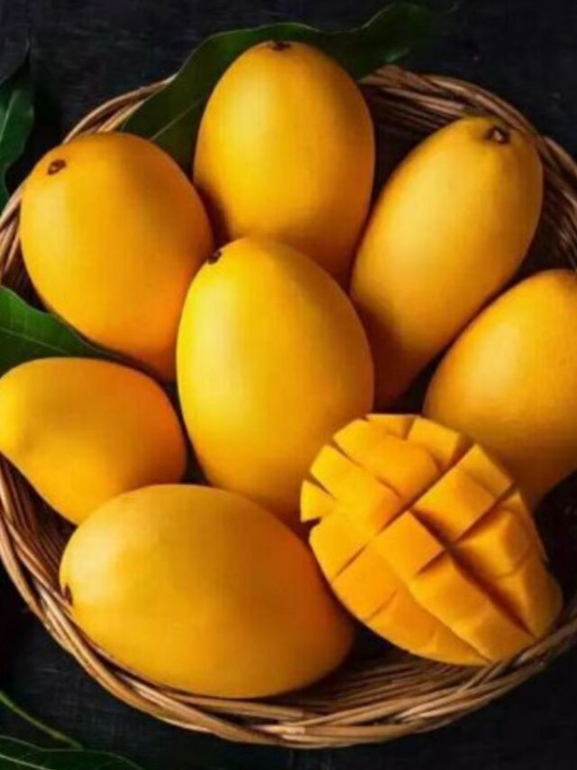 सावधान! ज्यादा आम खाना सेहत के लिए हो सकता है नुकसानदायक