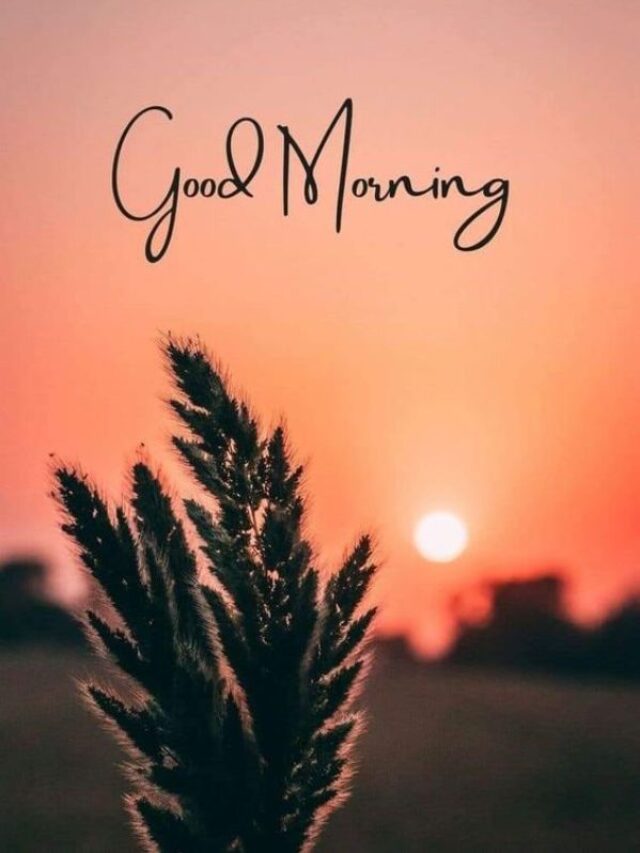 जब तक जीवन है, तब तक संघर्ष है और संघर्ष से ही सफलता प्राप्त होती है, पढ़ें सुविचार