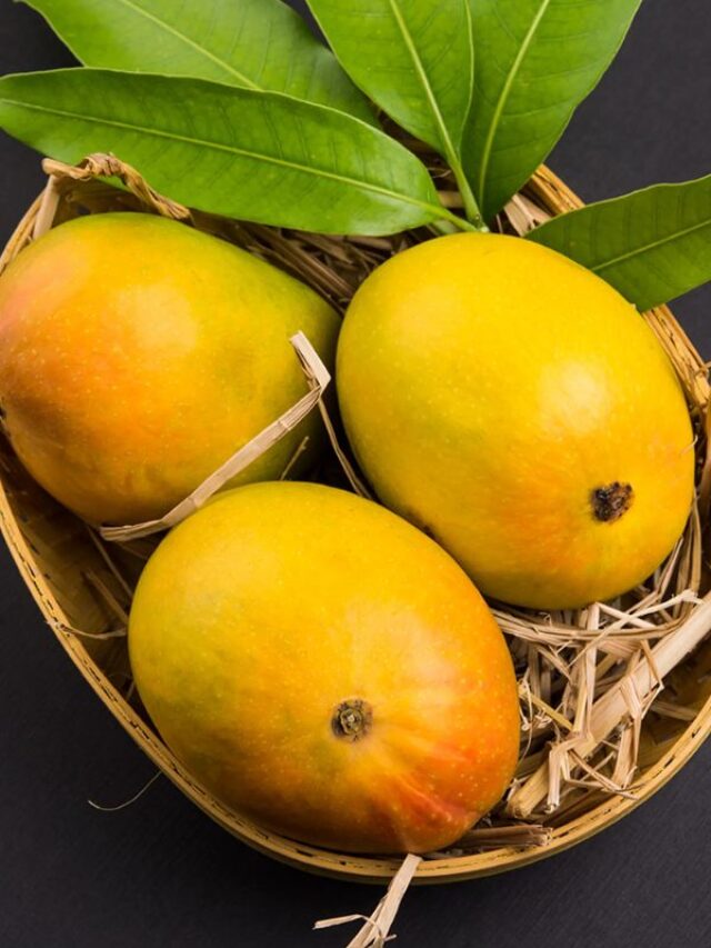 इन लोगों को भूलकर भी नहीं खाना चाहिए आम, वरना फलों का राजा पहुंचा देगा अस्पताल