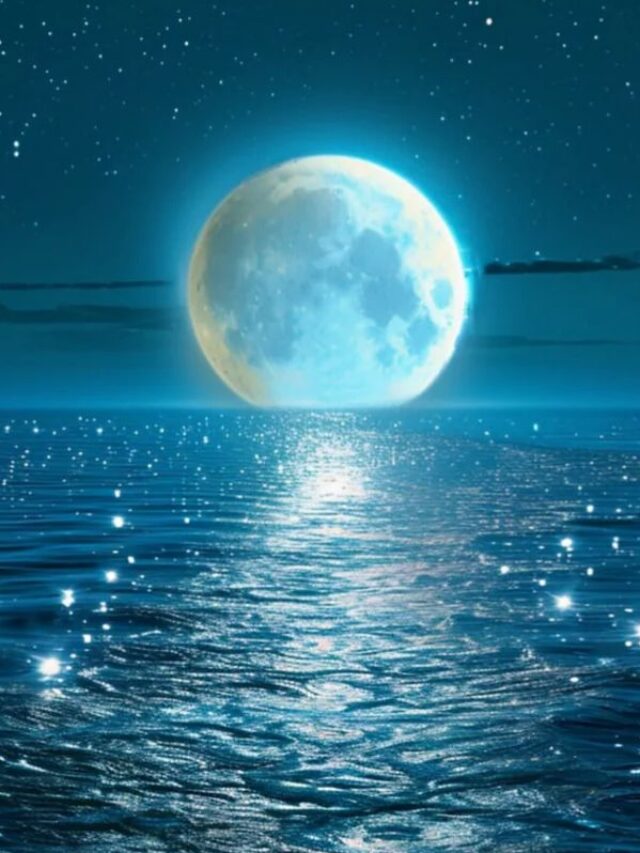 मार्गशीर्ष पूर्णिमा पर करें ये खास उपाय, सभी समस्याओं से मिलेगी मुक्ति