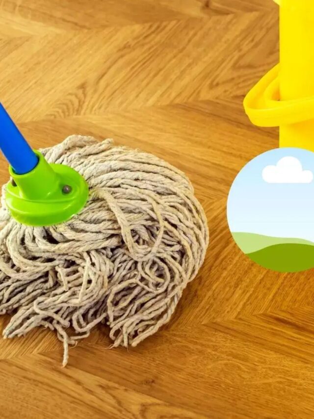 आप भी घर में किसी समय लगाते है पोछा, जानिए क्या इसके नियम?