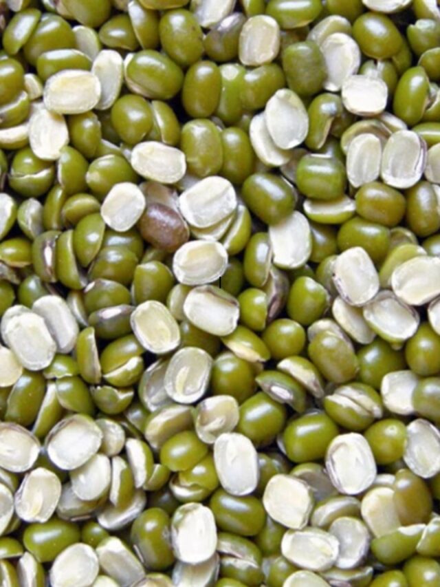 उड़द की दाल में मिलता है कौन सा विटामिन, क्या है इसके फायदें?