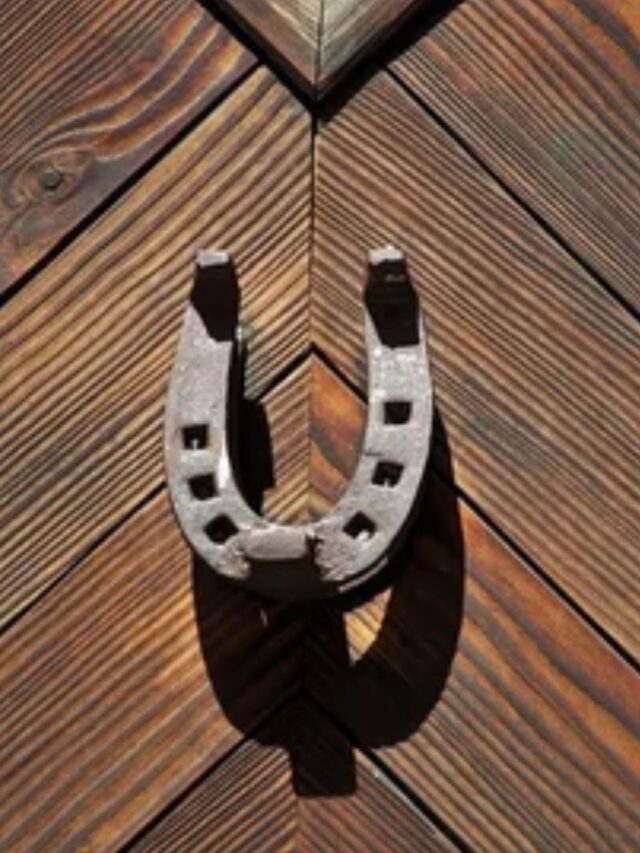 घर के दरवाजे पर घोड़े की नाल लगाने से क्या होता है लाभ? जानिए इसके नियम