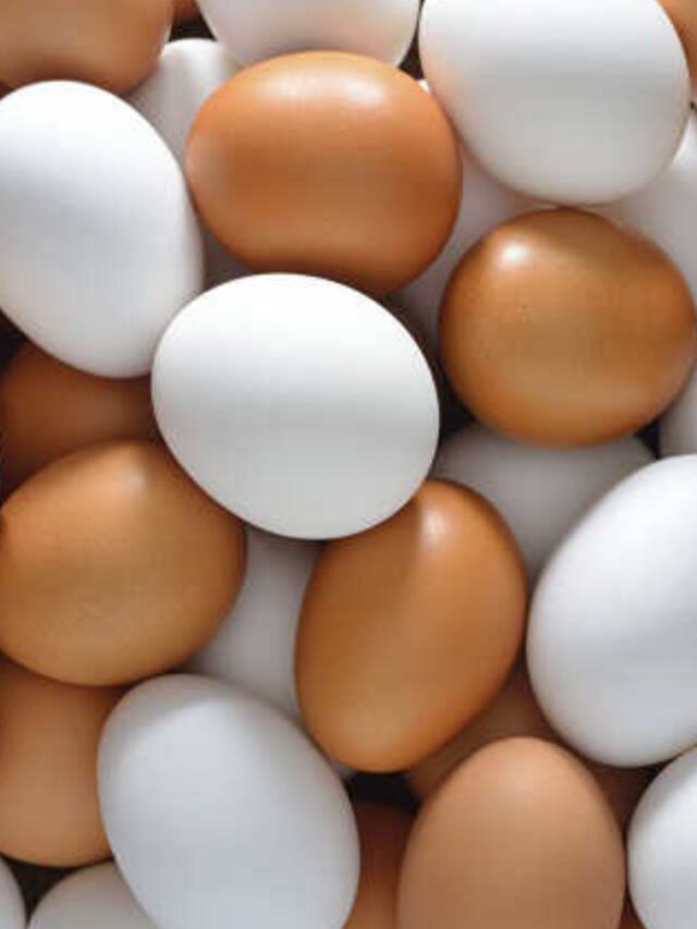कितने तरह के होते है अंडे? जानिए कौन-सा होता है सबसे ज्यादा फायदेमंद?