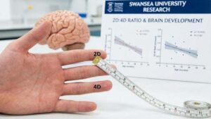 finger length intelligence