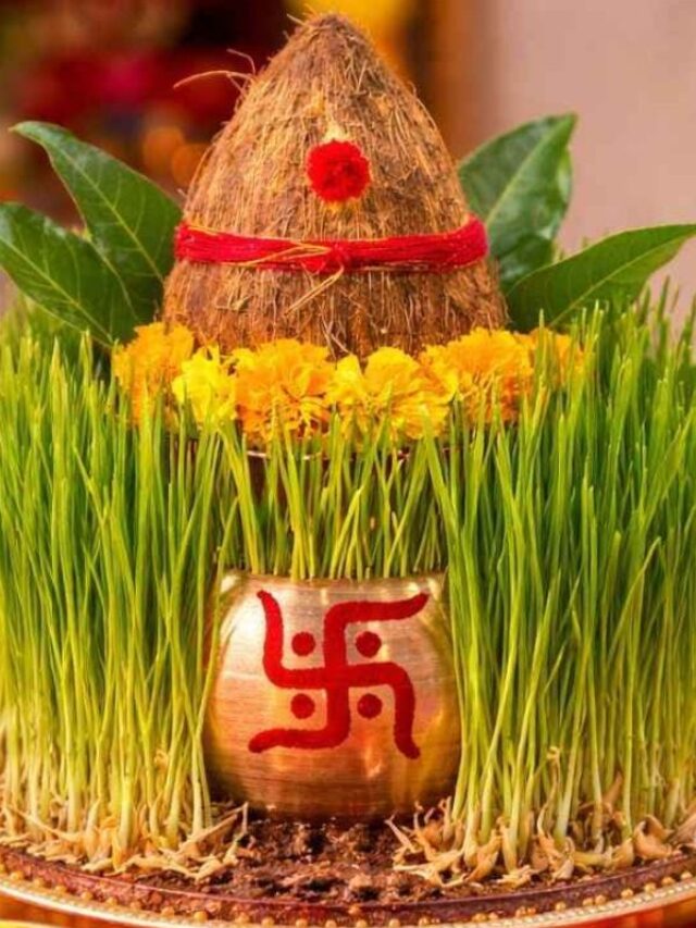 नवरात्रि में क्यों बोया जाता है जौ, जानिए इसके पीछे का रहस्य