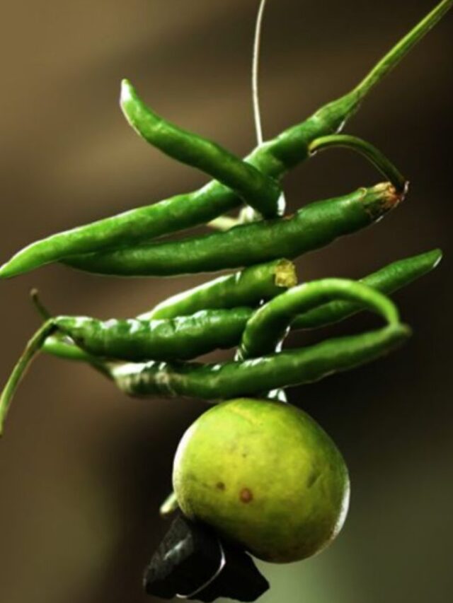 फ्रिज में एक साथ भूलकर भी न रखें नींबू-मिर्च, देवकीनंदन ठाकुर से जानें कारण